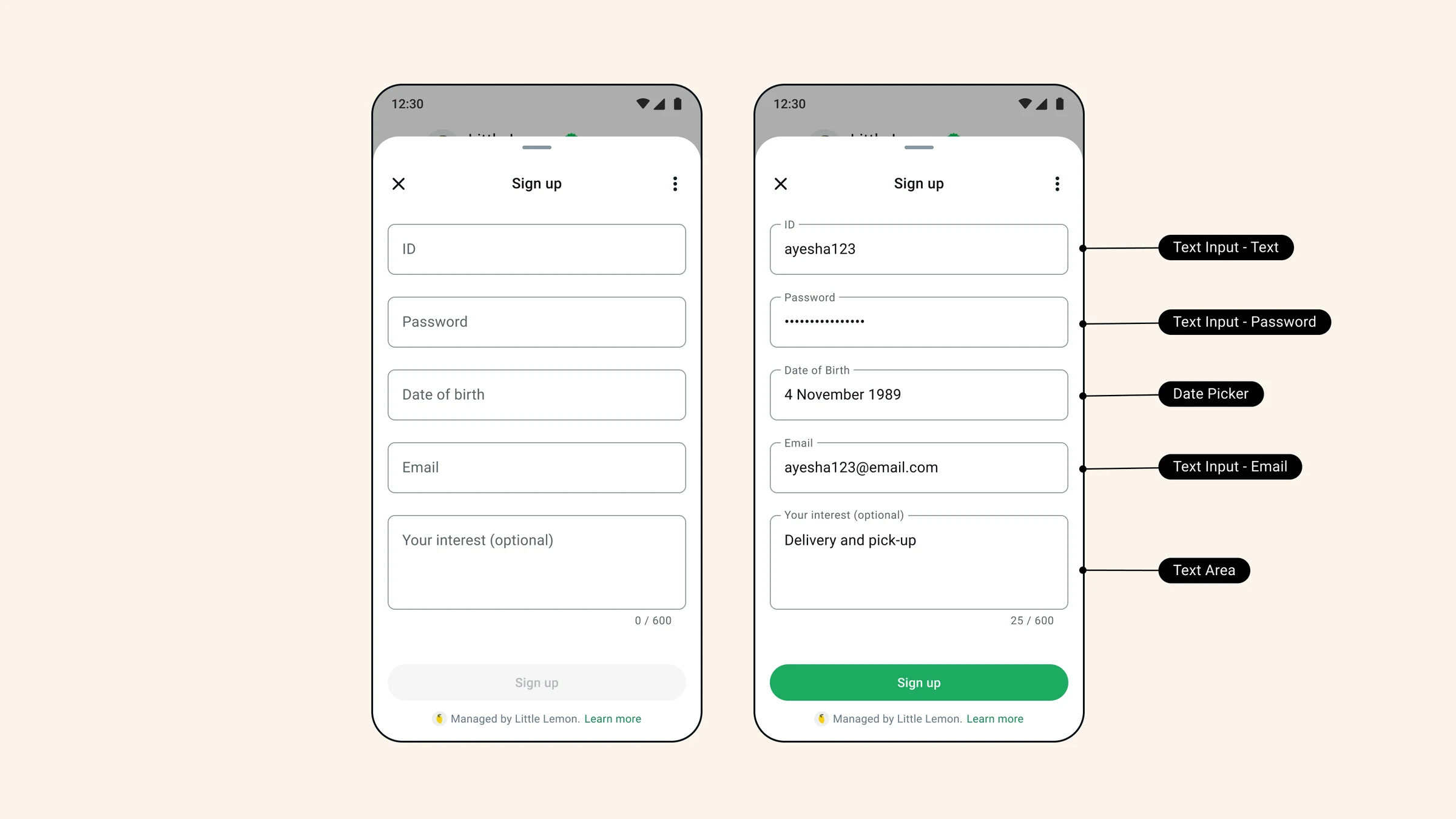 Illustrative comparison of unlabeled entries and labeled form component choices